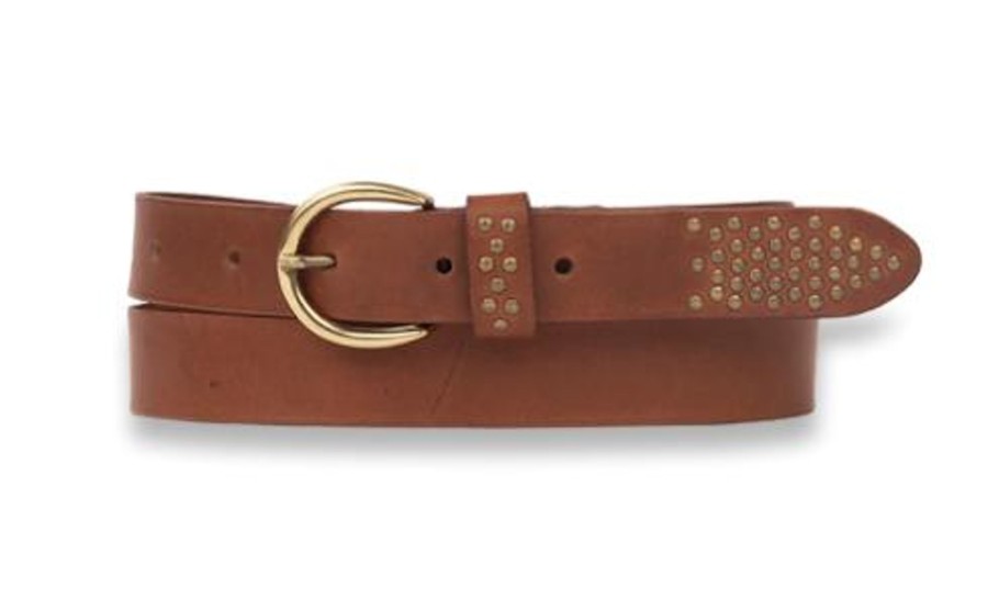 Accessories Cotton Wool | Legend Belts Stud Belt ( 2 Colours )